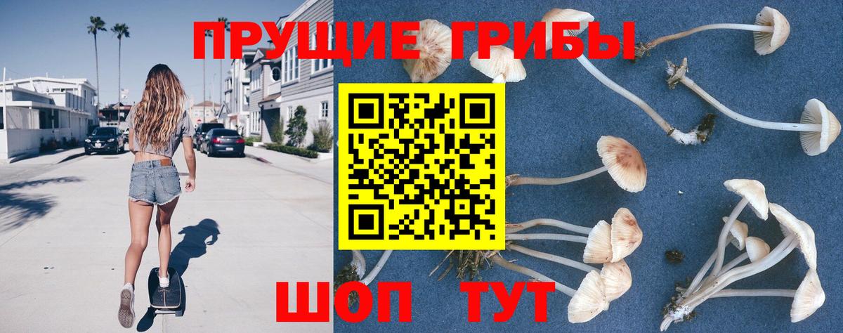 Воскресенск  Галлюциногенные грибы Psilocybe  Вход с VPN 